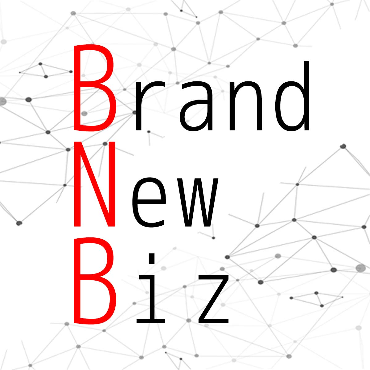 BNBiz